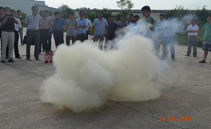 fbab3e33-9bcf-477e-9030-7509847245b1.jpg