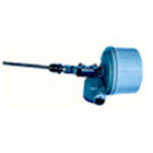 ����ʽ˫�����¶ȼ�