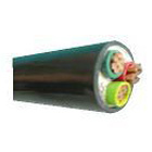 ���Ƶ���