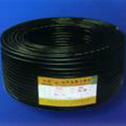 ����ϩ��Ե��������