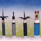 �˵�վ�õ���