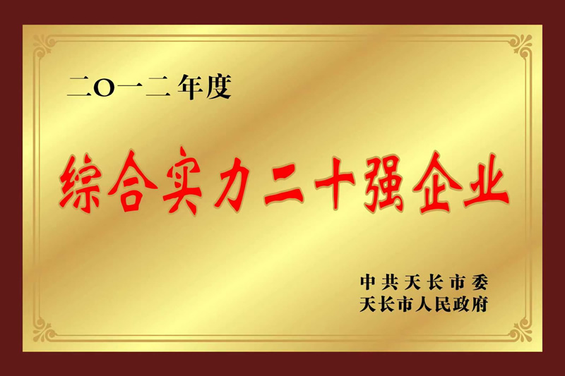 2012����ۺ�ʵ����ʮǿ��ҵ