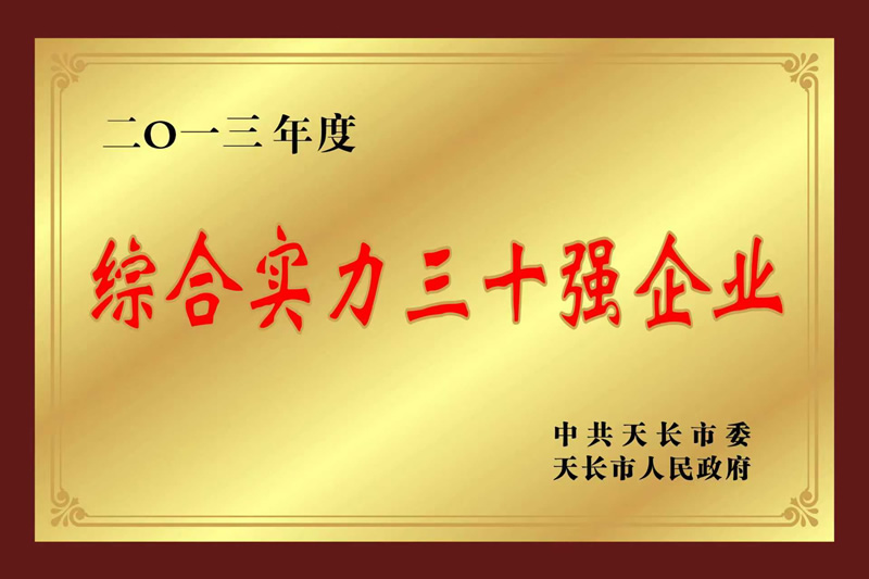 2013����ۺ�ʵ����ʮǿ��ҵ