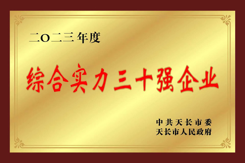 2023����ۺ�ʵ����ʮǿ��ҵ