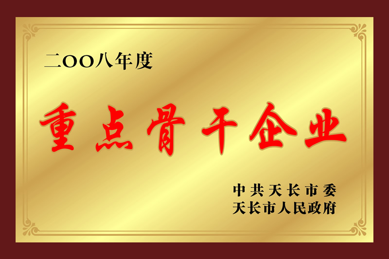 2008����ص�Ǹ���ҵ