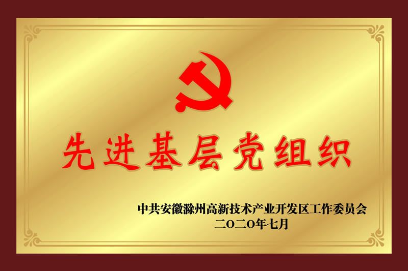 2020�Ƚ����㵳��֯