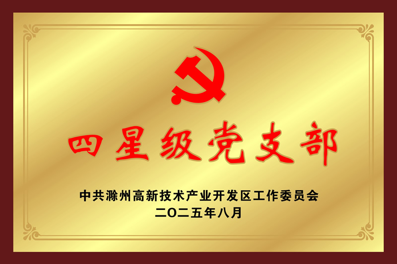 2025�����Ǽ���֧��