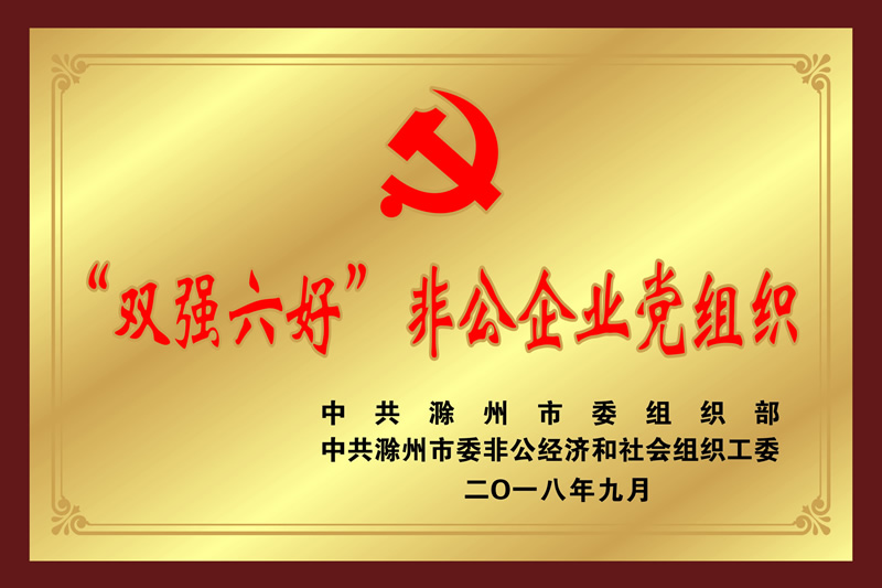 ˫ǿ���÷ǹ���ҵ����֯